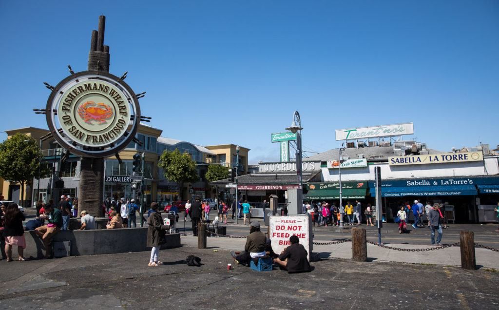 25 Best Things to Do in San Francisco Earth Trekkers