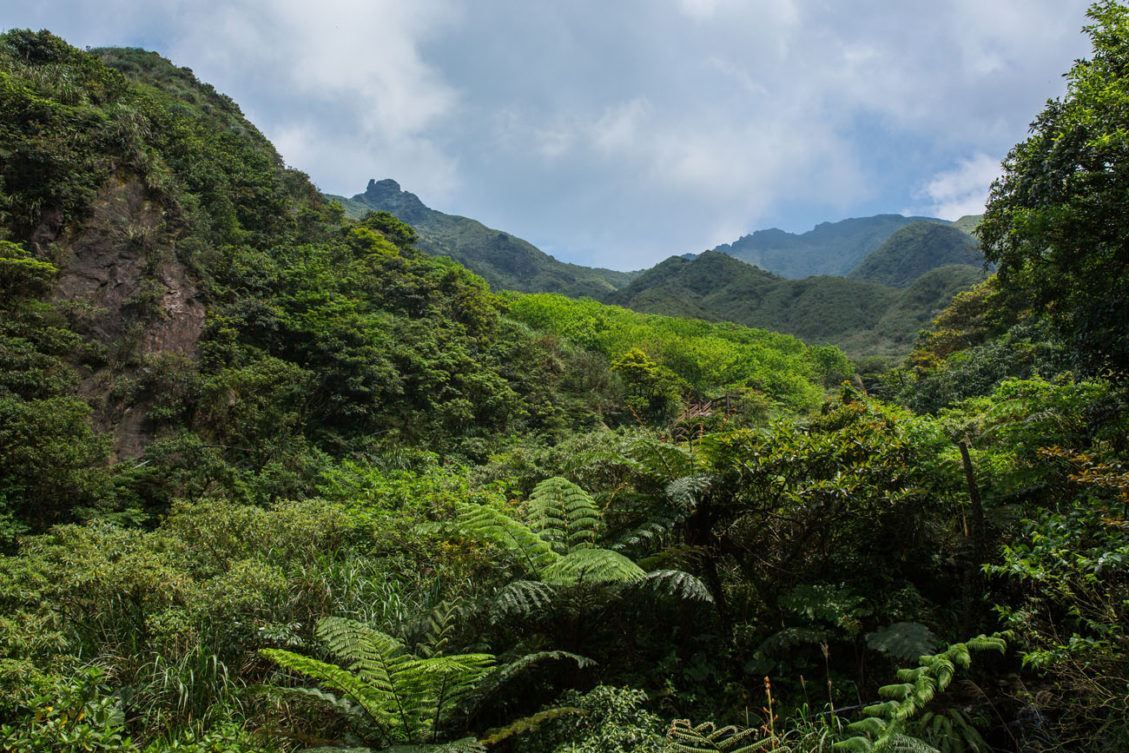 Hiking Teapot Mountain in Taiwan Earth Trekkers