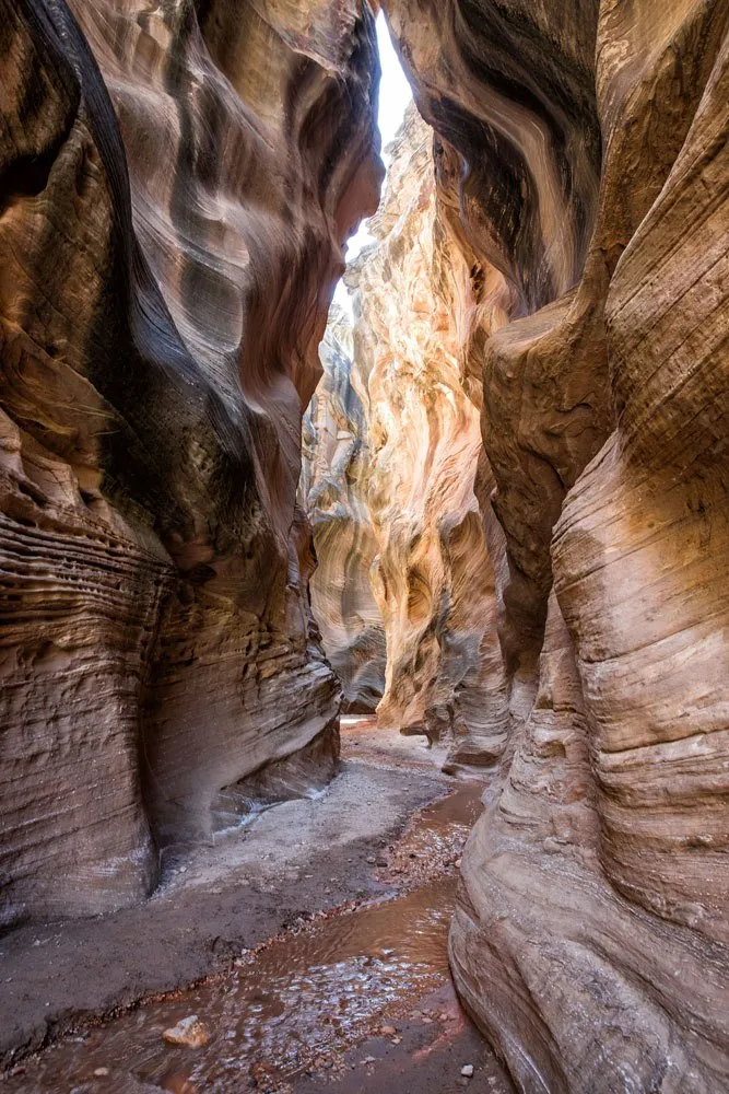 10 Amazing Slot Canyons To Explore In The American Southwest Earth Trekkers 1685