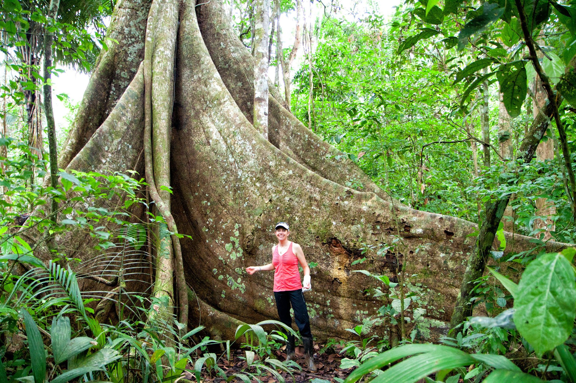 How Much Rain Falls In The Amazon Rainforest