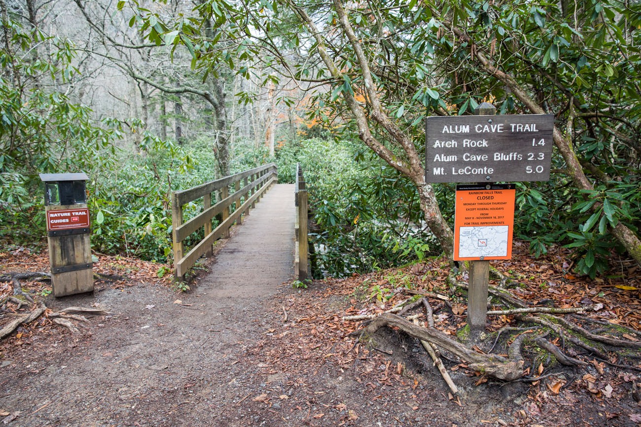 Hiking Mt. LeConte in the Great Smoky Mountains Earth Trekkers