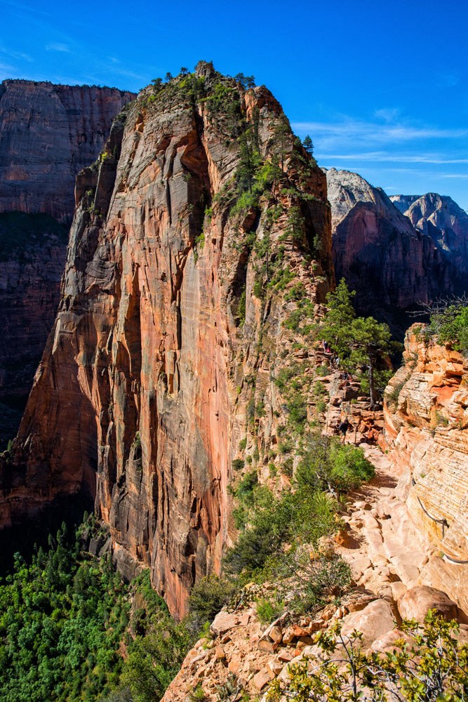 10 Great Hikes in Zion National Park: Which One Will Be Your Favorite? | Earth Trekkers