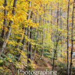 Asheville Waterfalls Fall Colors Photography