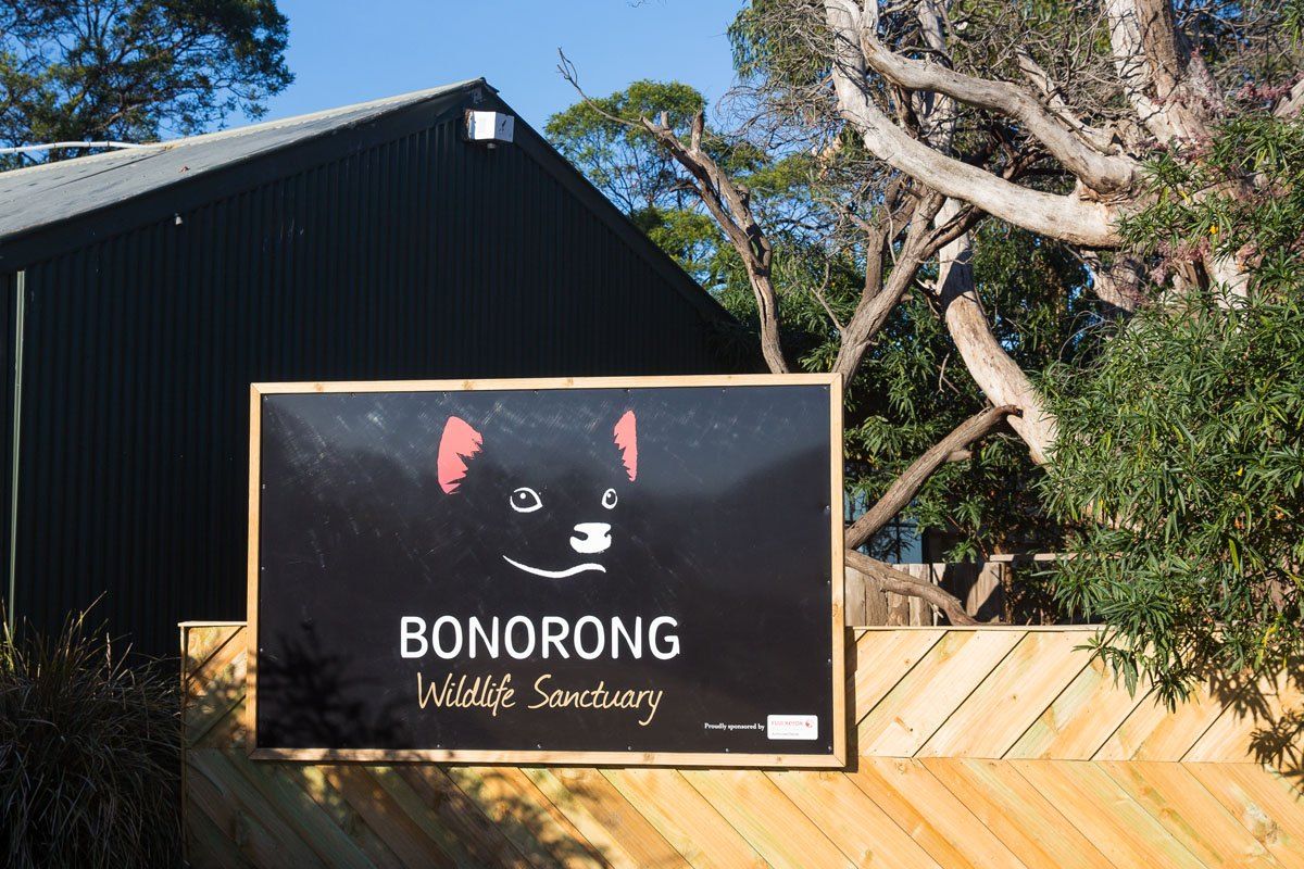 Bonorong