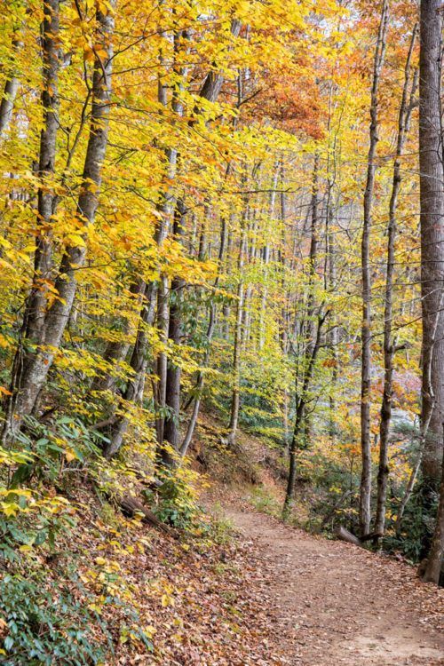 Photographing Waterfalls near Asheville, North Carolina – Earth Trekkers