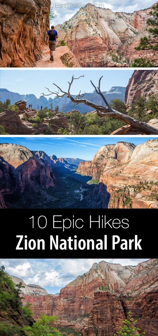 Zion Best Hikes in the Park