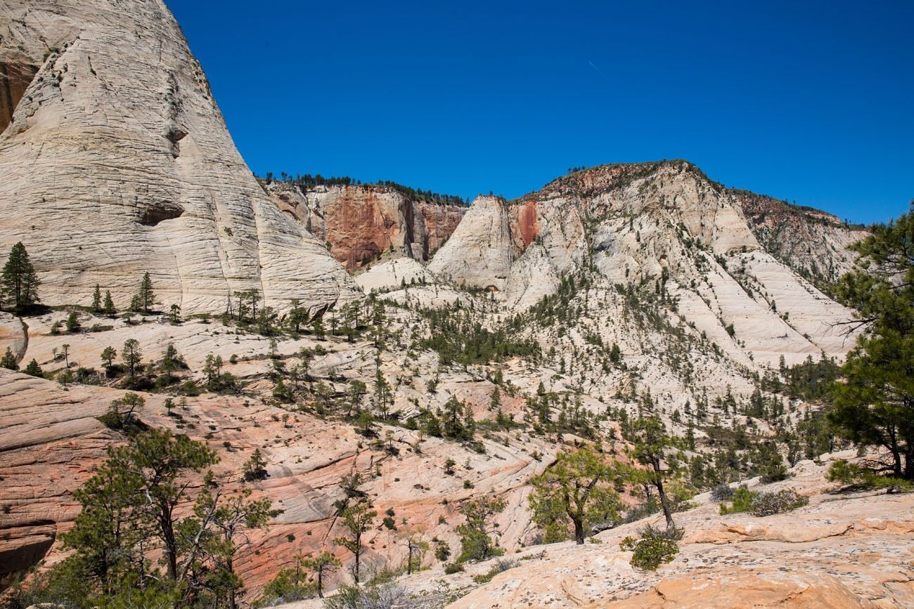 Zion National Park