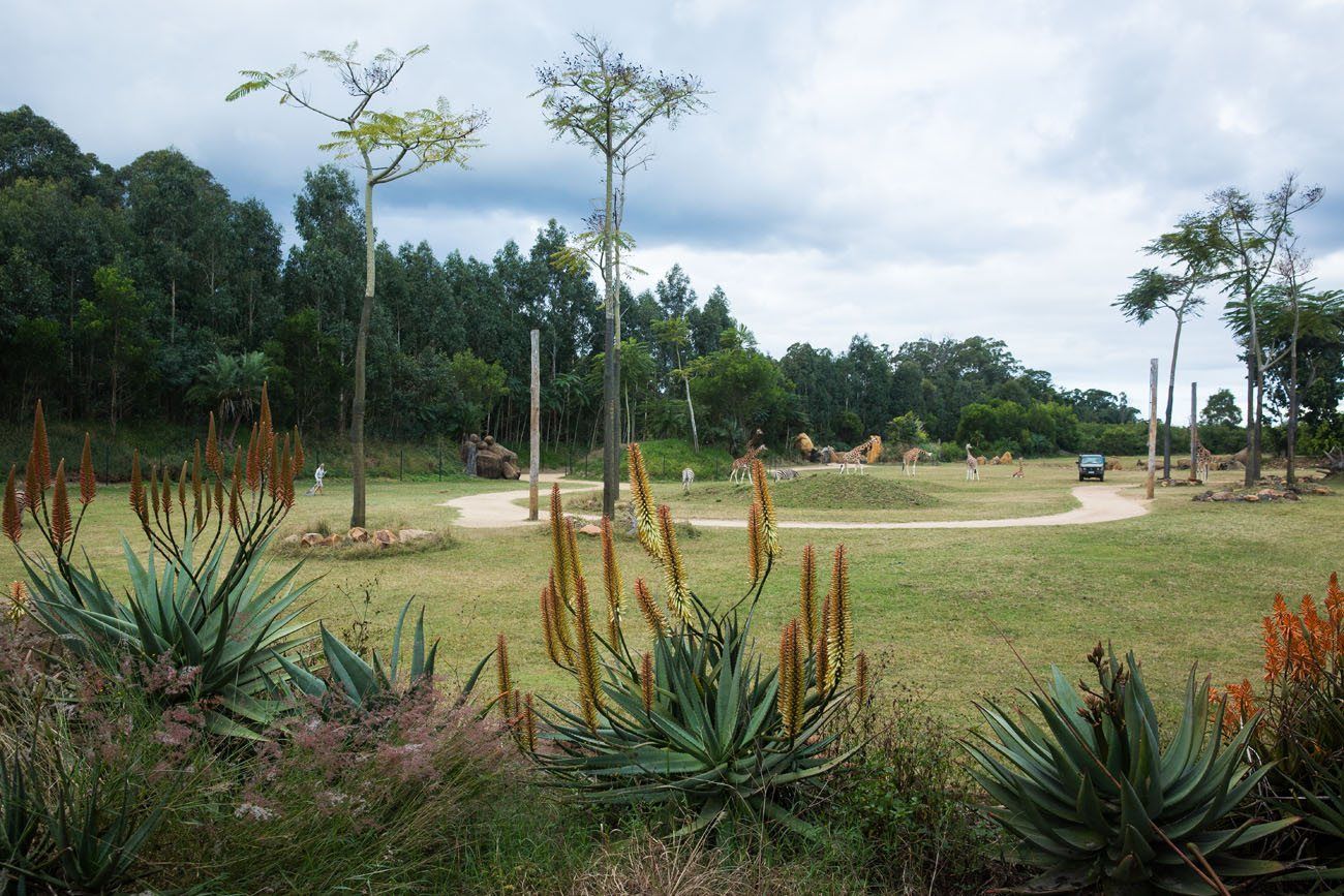 Zoo Landscape