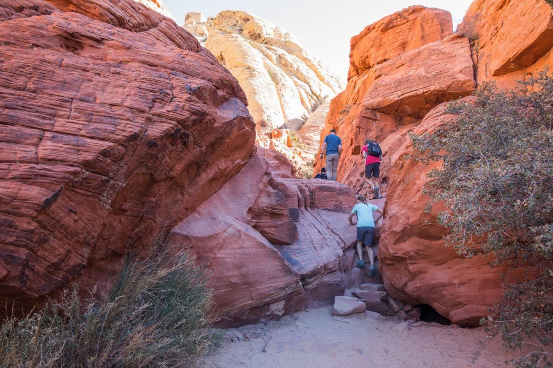 Two Fun, Short Hikes to do at Red Rock Canyon, Las Vegas Earth Trekkers