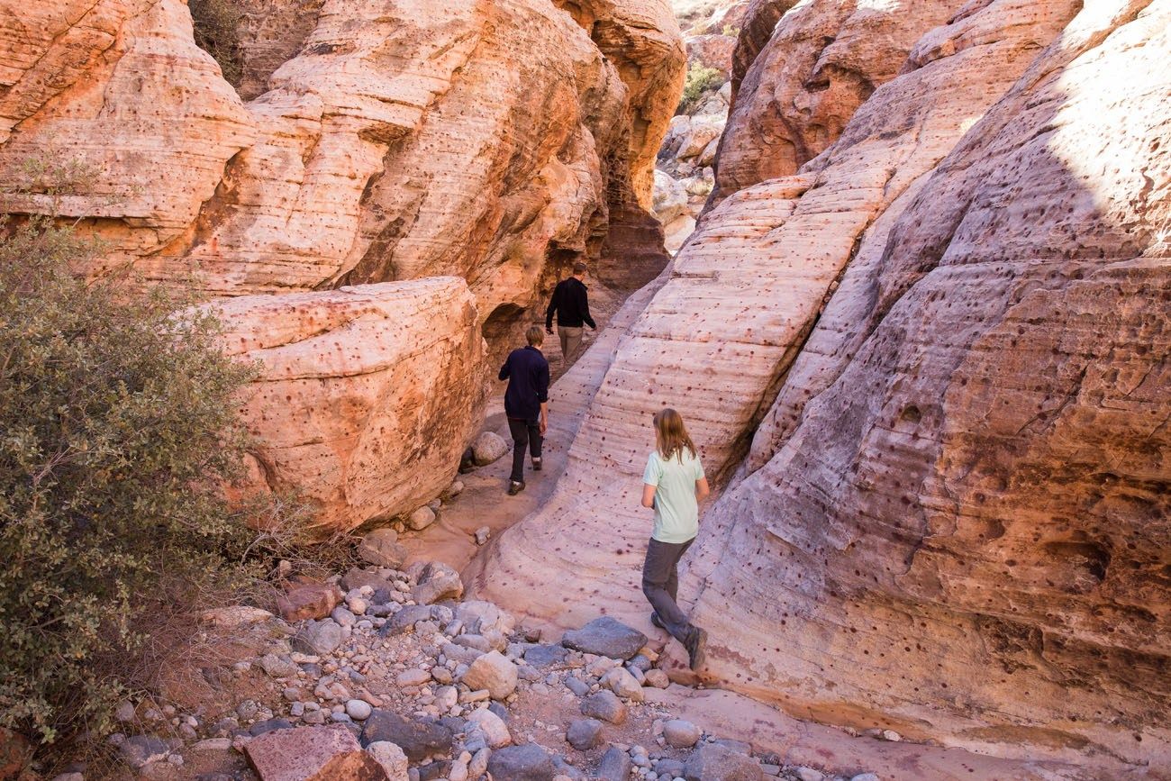 Two Fun Short Hikes To Do At Red Rock Canyon Las Vegas Earth Trekkers