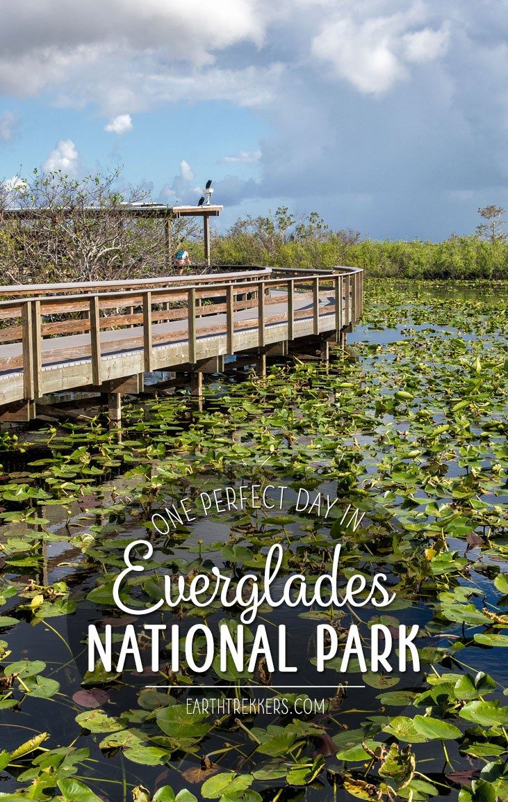 Everglades One Day Itinerary