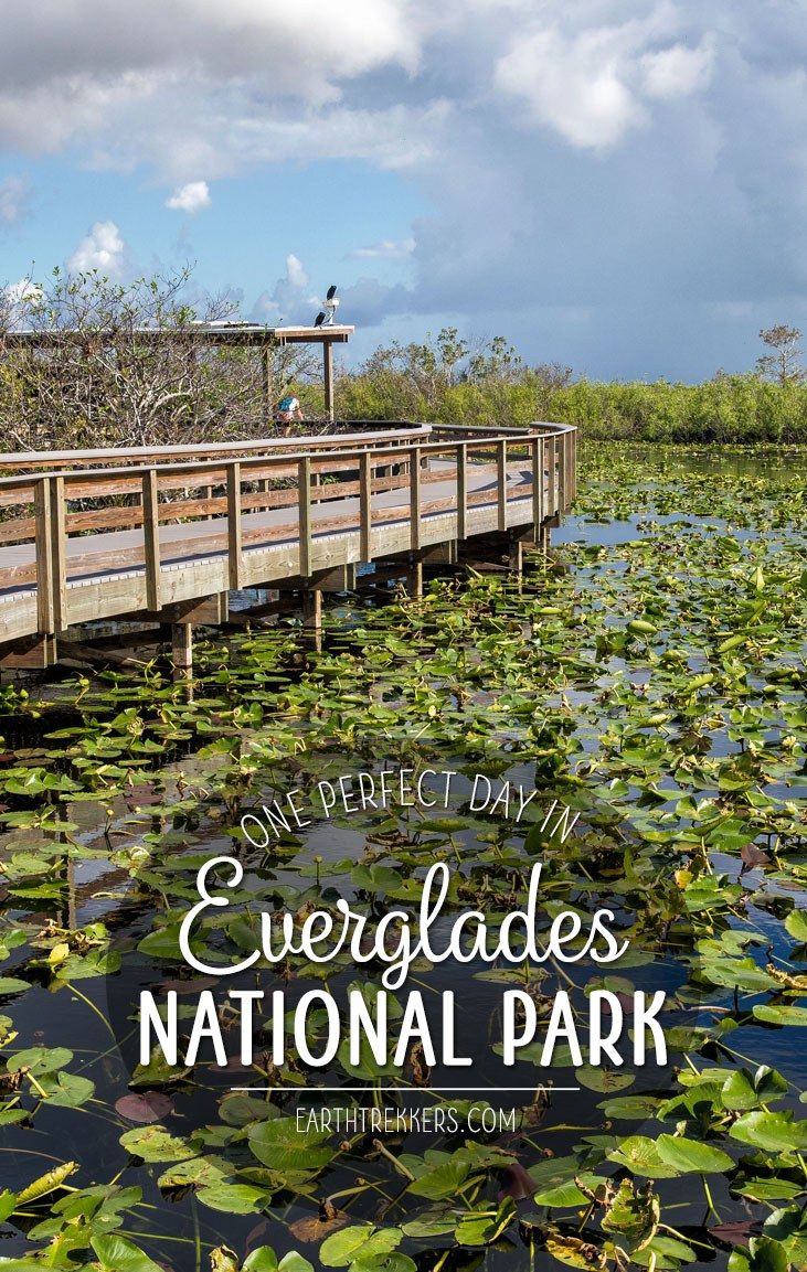 One Perfect Day In Everglades National Park Earth Trekkers