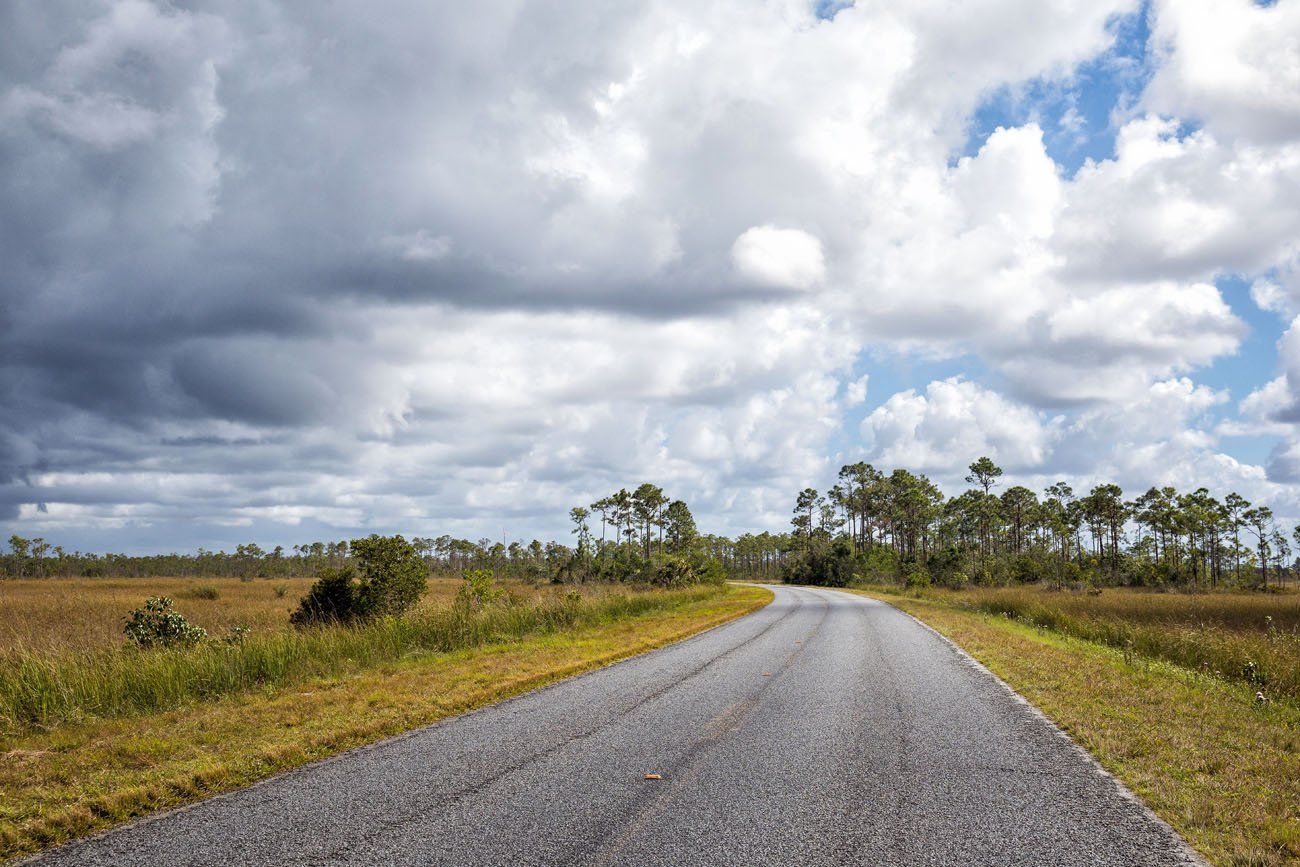 Everglades Road
