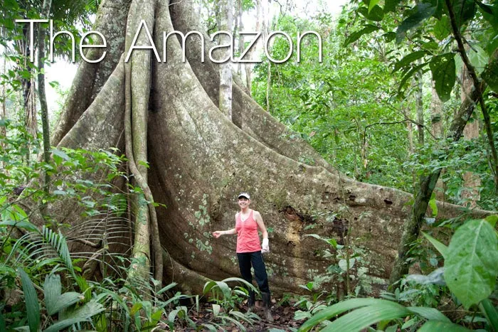 A woman in a red top standing at the base of a seemingly giant tree.