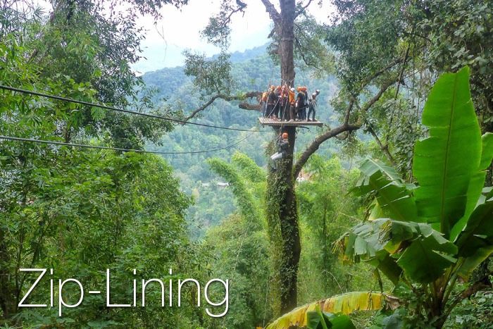 A group of people waiting for their turn on the zipline in a rainforest jungle.