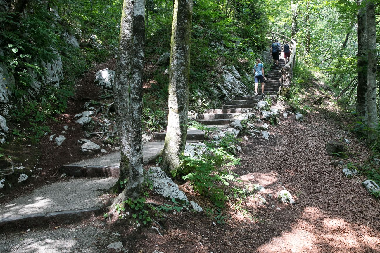Savica Waterfall Trail