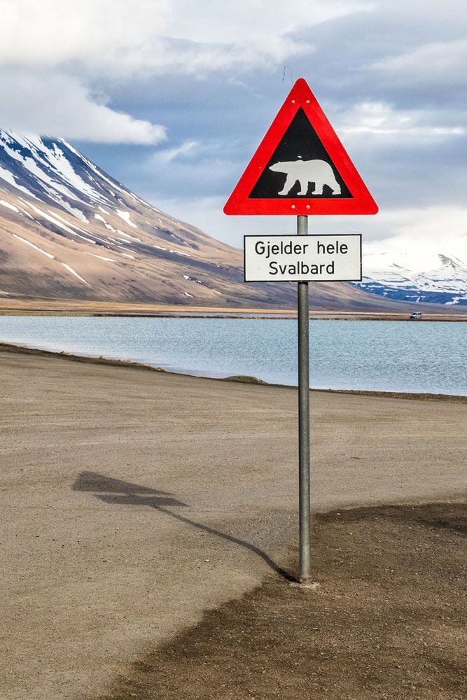 Svalbard Polar Bear Sign