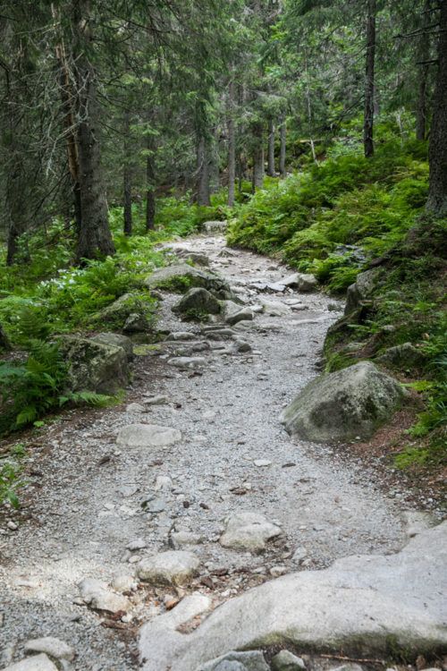 How to Hike Rysy from the High Tatras of Slovakia – Earth Trekkers