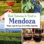 Mendoza Argentina Wine Regions