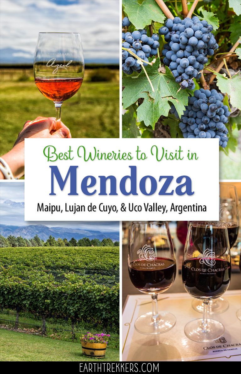 Mendoza Argentina Wine Regions