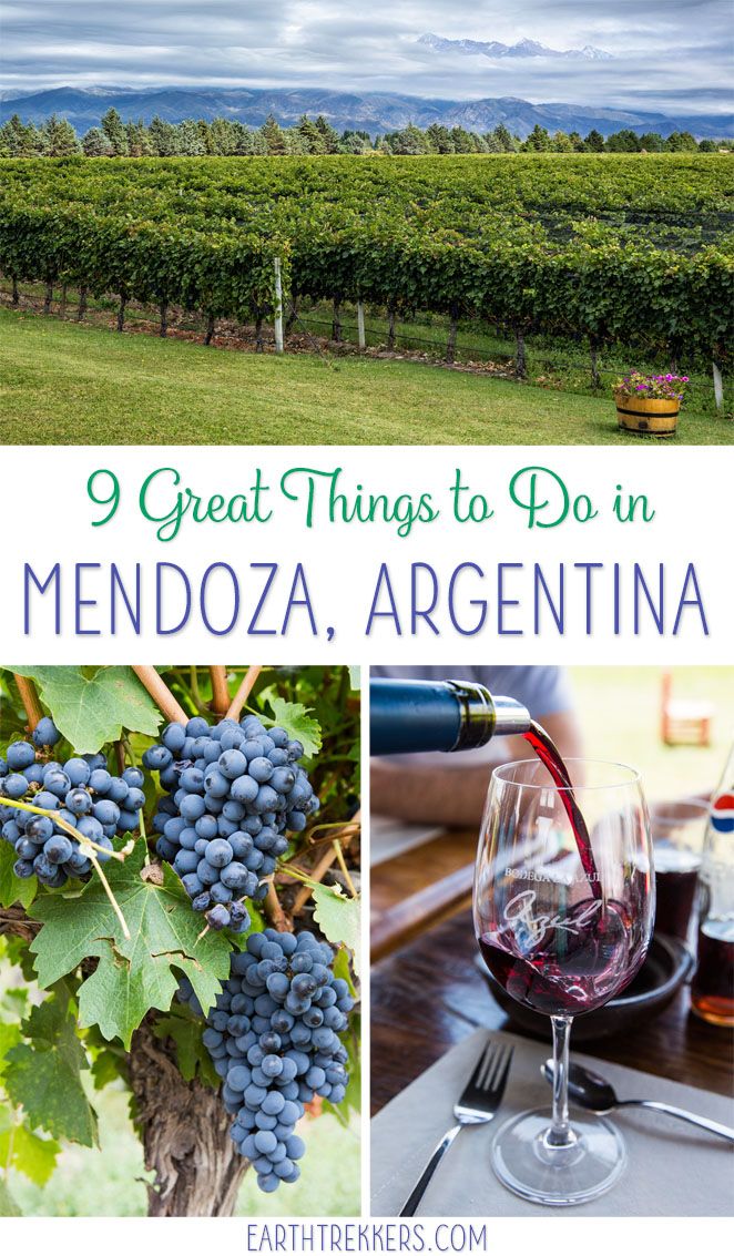 Mendoza Argentina Wine