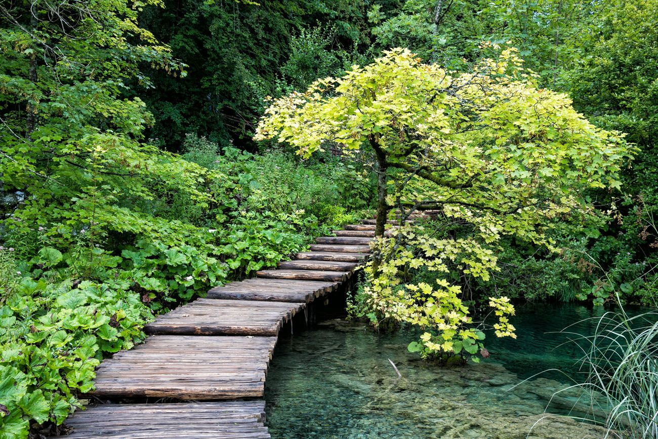 Plitvice Lakes Photography