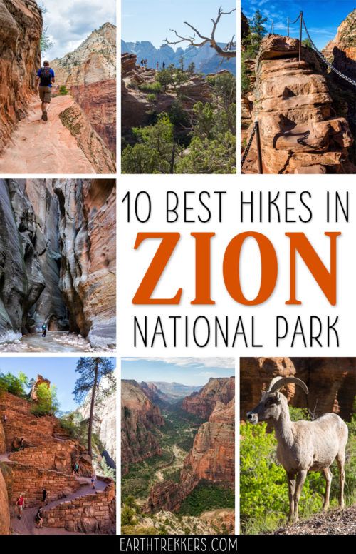 10 Great Hikes In Zion National Park: Which One Will Be Your Favorite ...