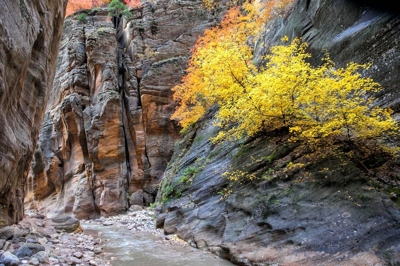 Best Time to go to Zion