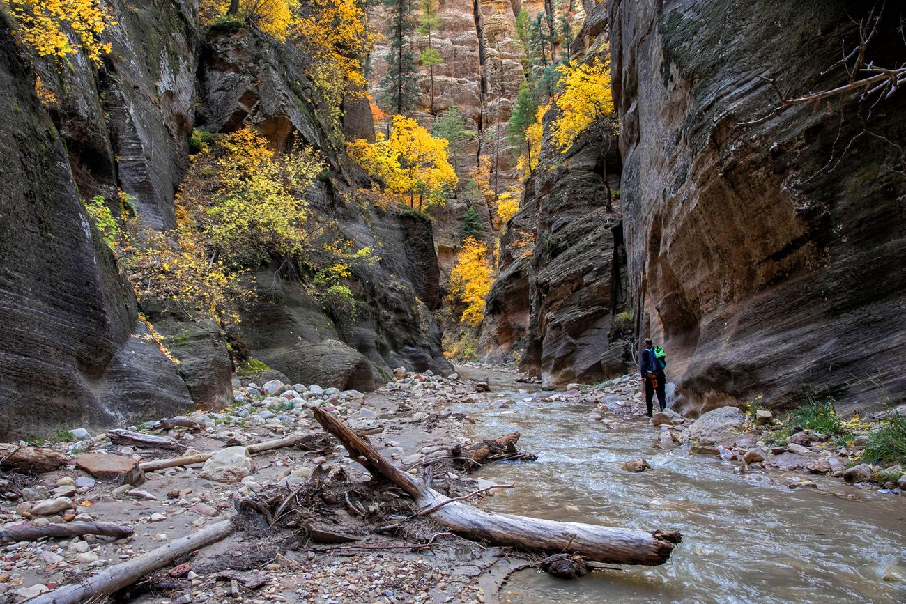 Waterproof Backpack - Zion Outfitter