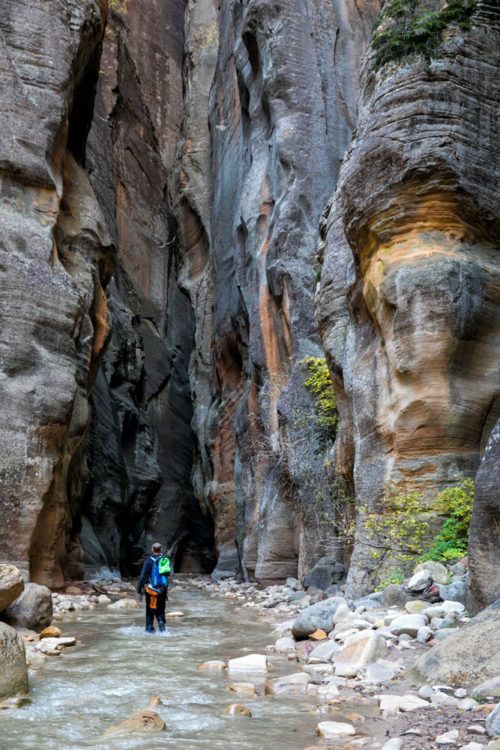 The Ultimate Guide To Hiking The Zion Narrows Earth Trekkers 