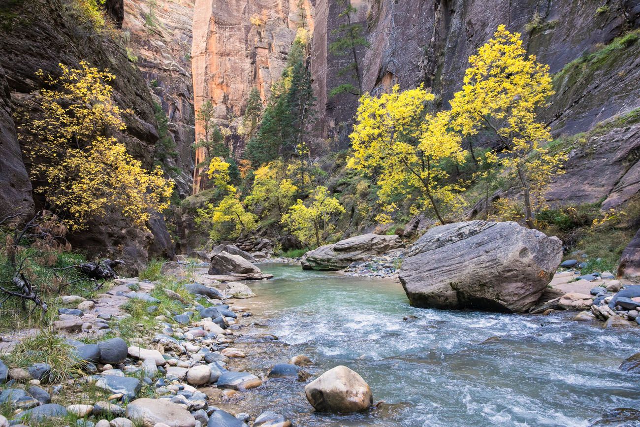 Zion Narrows Day Hike