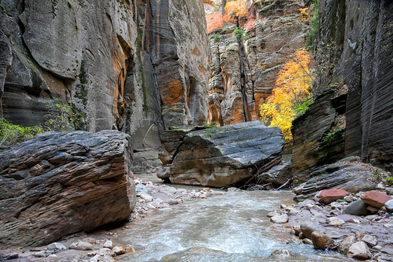Zion Narrows Hike | Best Zion Hikes