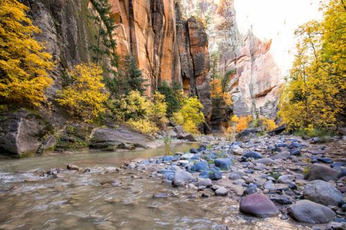 The Ultimate Guide to Hiking the Zion Narrows – Earth Trekkers