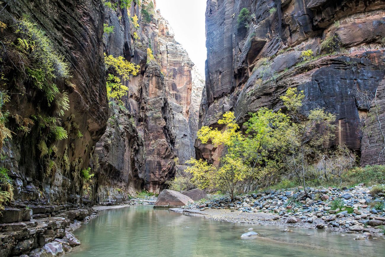 Zion Narrows Hike October