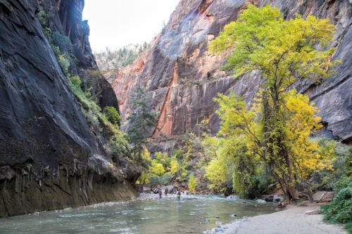 Journey through the Zion Narrows in Photos | Earth Trekkers