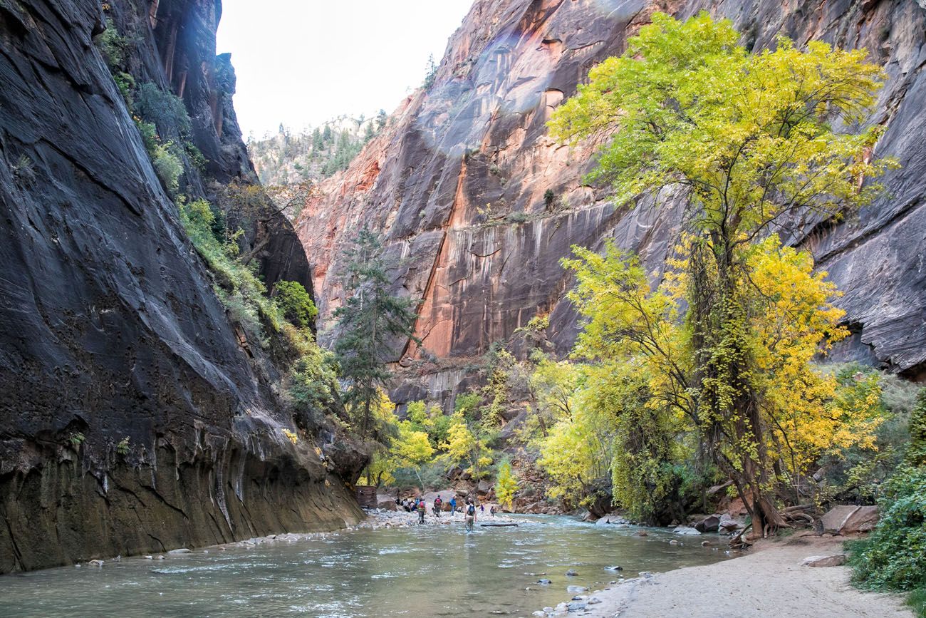 Zion Narrows Riverside Walk Earth Trekkers