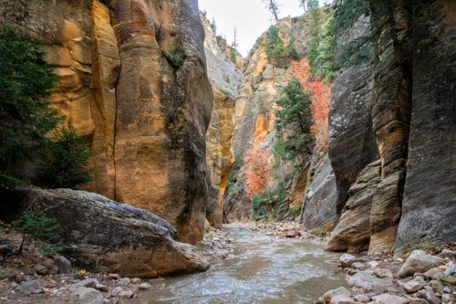 Journey through the Zion Narrows in Photos – Earth Trekkers