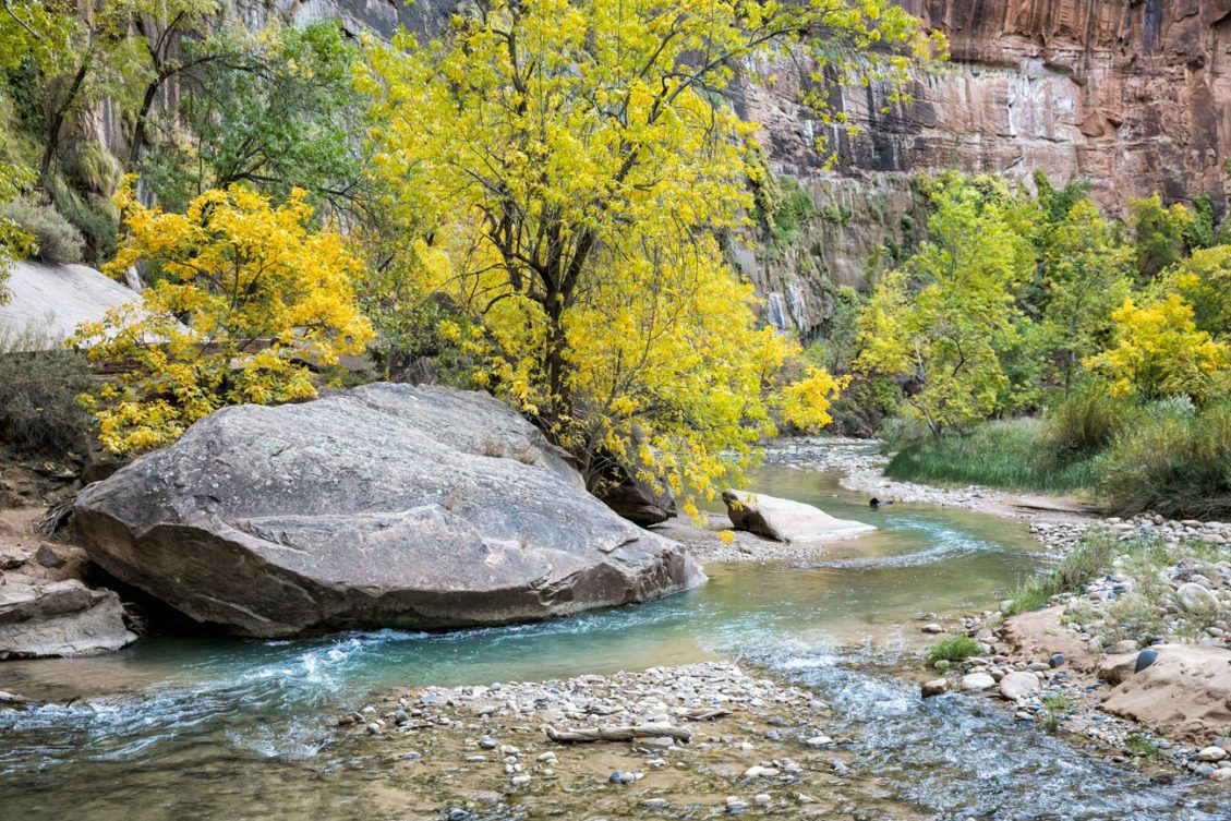 10 Great Hikes In Zion National Park: Which One Will Be Your Favorite ...