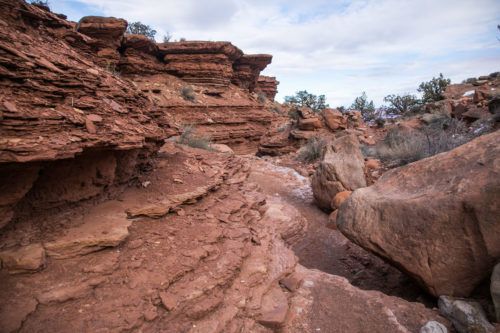 gooseberry mountain bike trail
