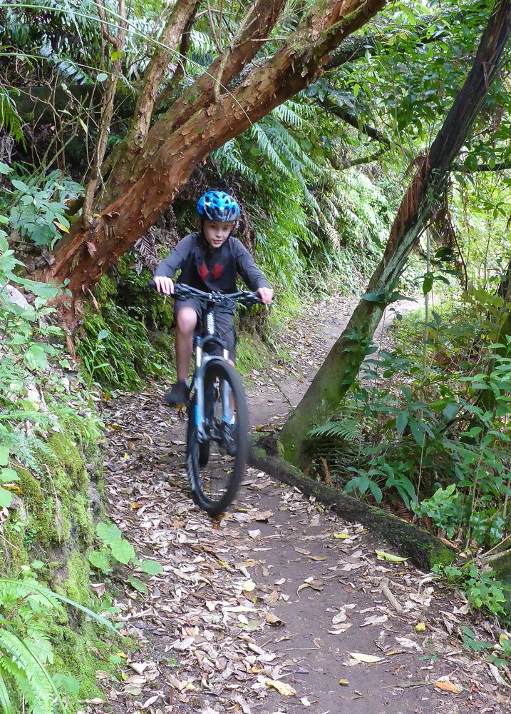 Mountain Bike Taupo | 3 Week New Zealand Itinerary