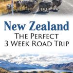 New Zealand Itinerary and Road Trip Guide