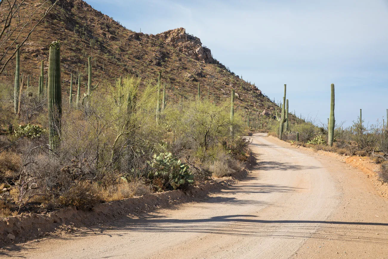 Bajada Loop Drive