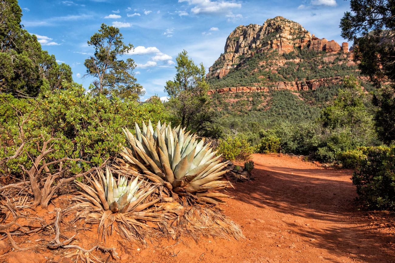 desert hiking