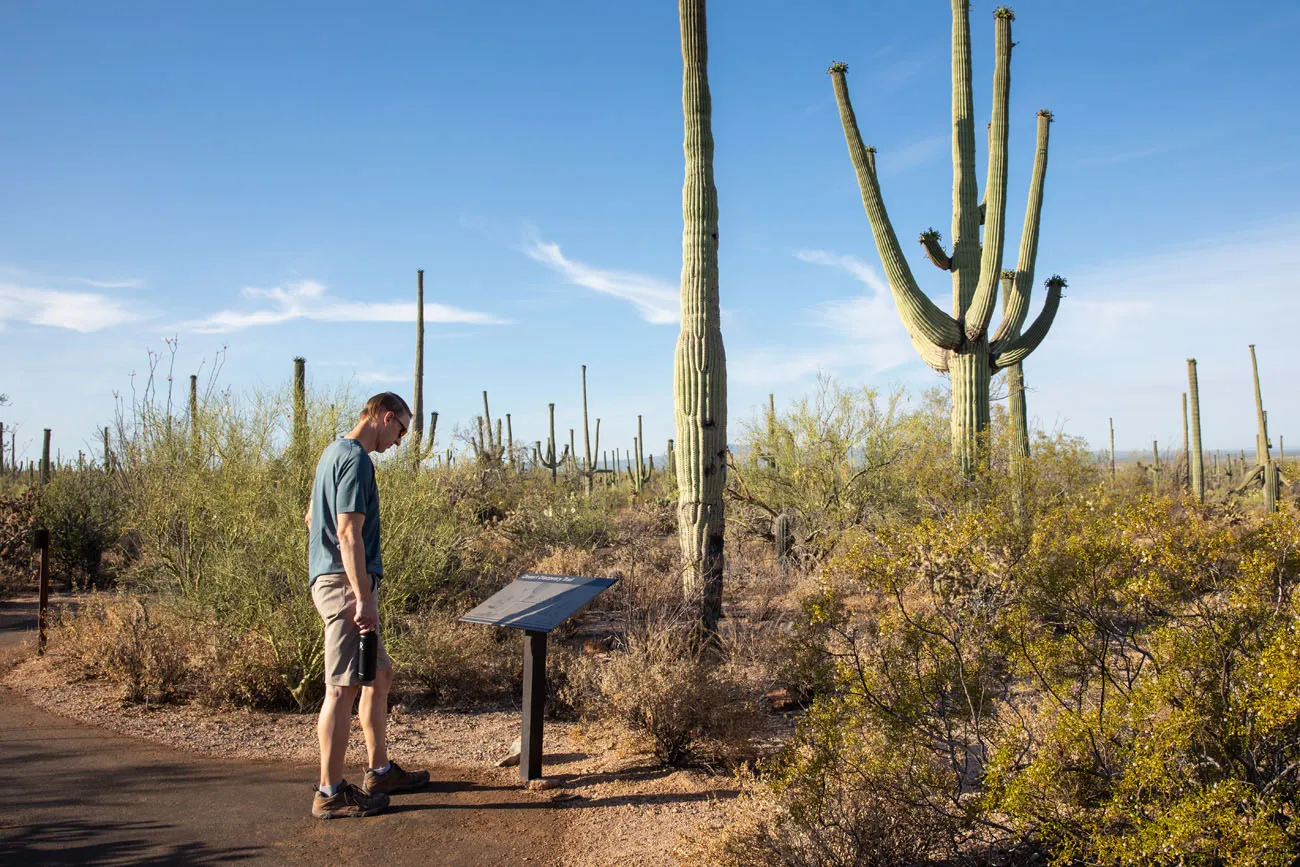 Tim in Saguaro