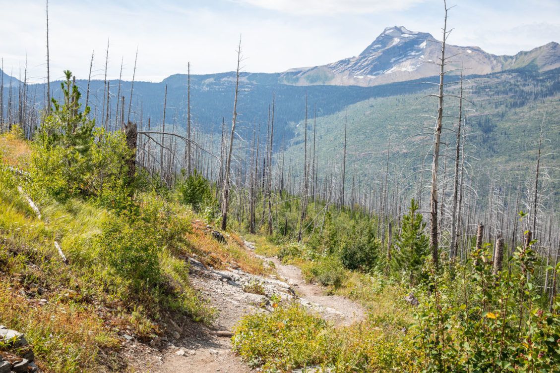 The Loop Trail Glacier Earth Trekkers