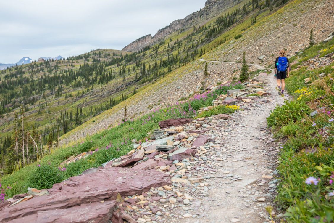 Highline Trail Logan Pass To The Loop Glacier National Park Earth Trekkers