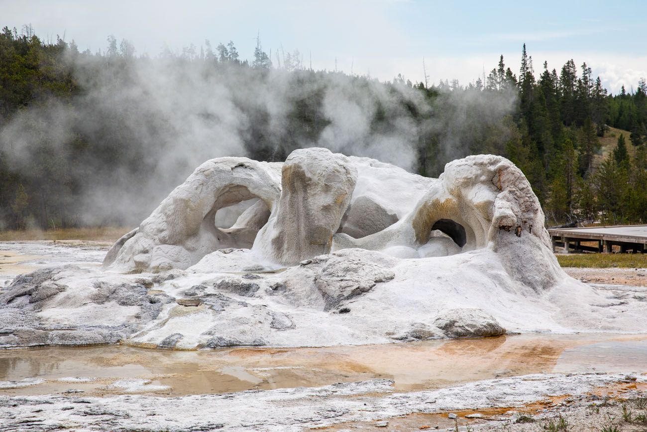 Grotto Geyser best things to do in Yellowstone
