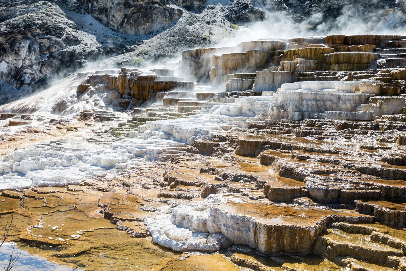 Mammoth Hot Springs best things to do in Yellowstone