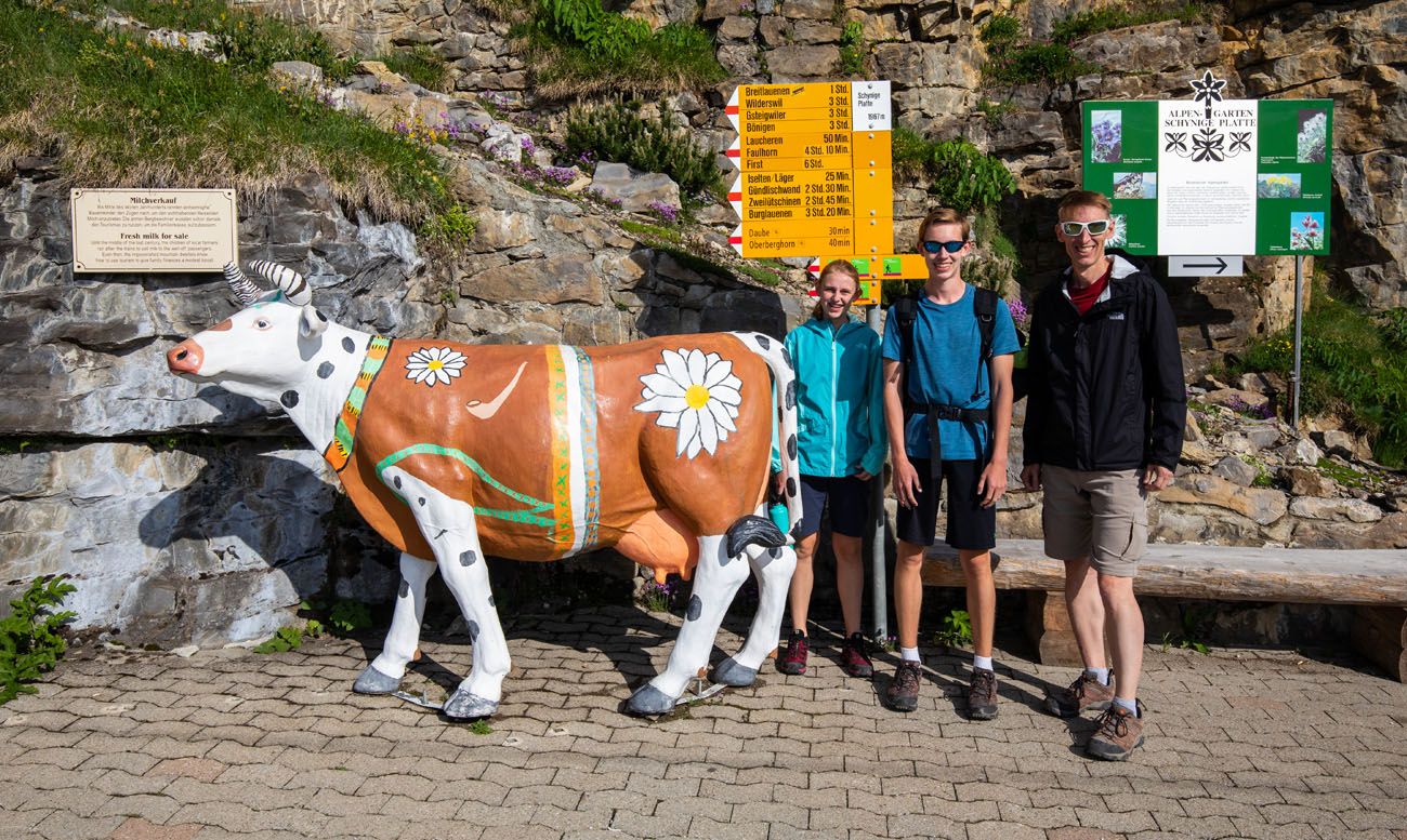 Trail Sign Switzerland Schynige Platte to Faulhorn to First