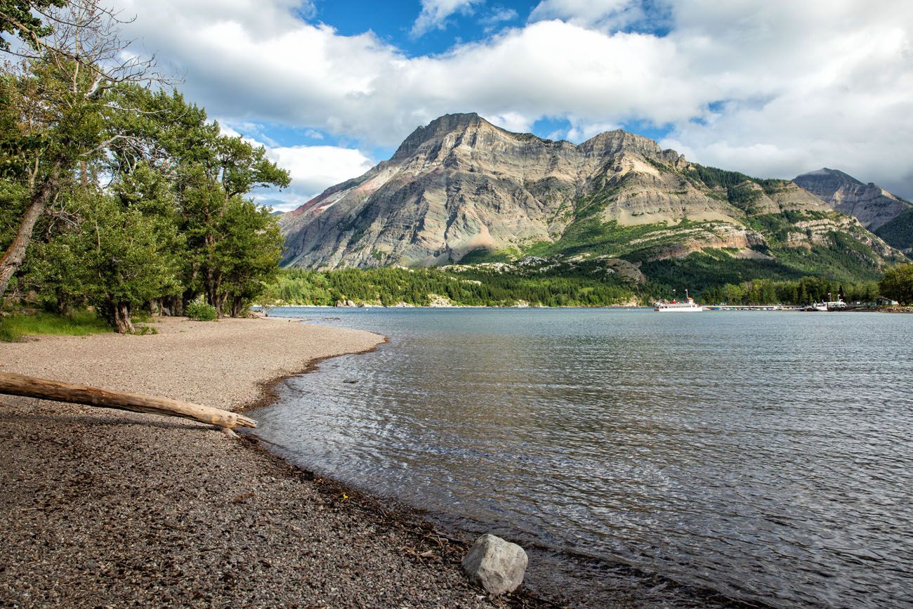 are dogs allowed in waterton national park